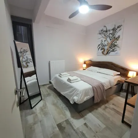 Ellis Apartment
